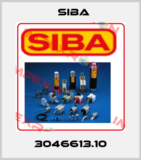 3046613.10 Siba