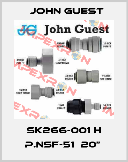 SK266-001 H P.NSF-51  20”  John Guest