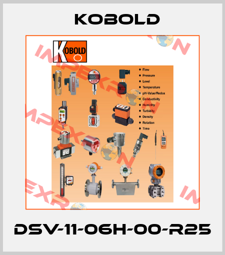 DSV-11-06H-00-R25 Kobold