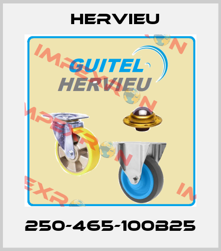 250-465-100B25 Hervieu