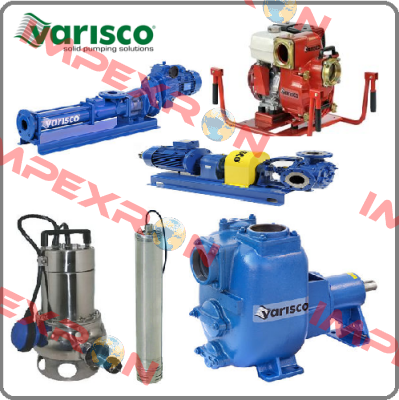 10014249 Varisco pumps