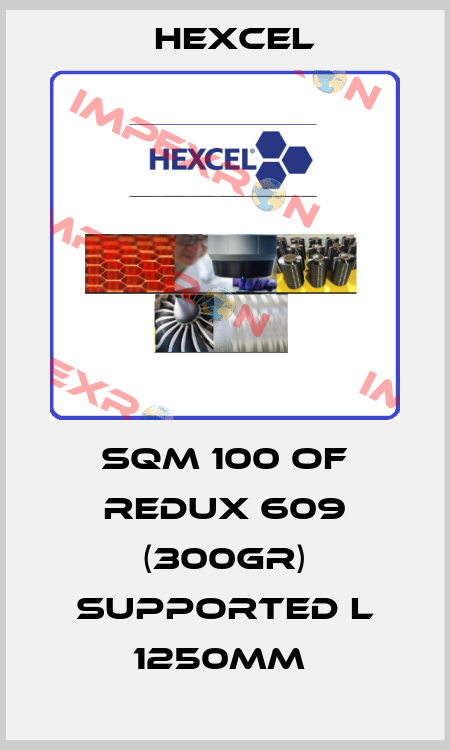 SQM 100 OF REDUX 609 (300GR) SUPPORTED L 1250MM  Hexcel