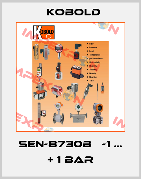 SEN-8730B   -1 ... + 1 bar Kobold