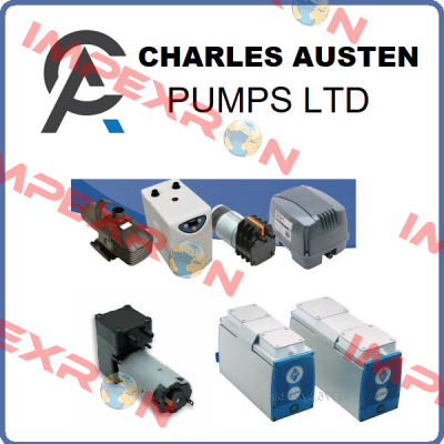 MAC401517004626  Charles Austen Pumps