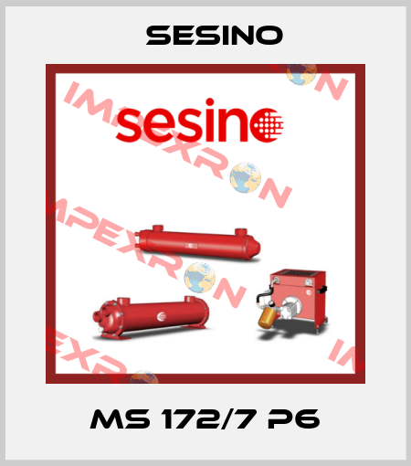 MS 172/7 P6 Sesino