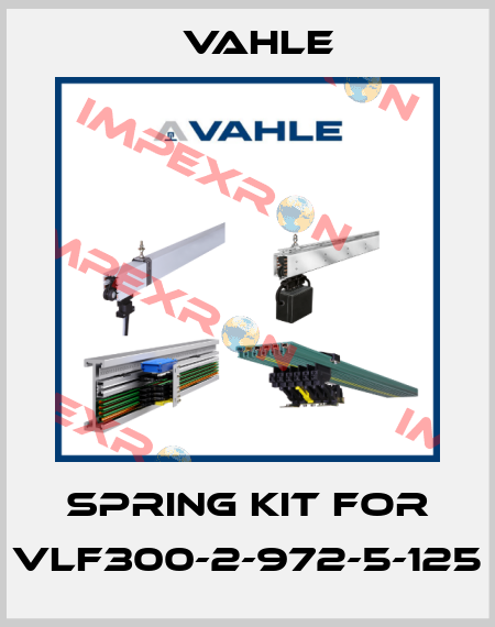 spring kit for VLF300-2-972-5-125 Vahle