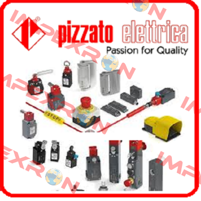 NG 2D6D429A-S1000Z708 OEM Pizzato Elettrica