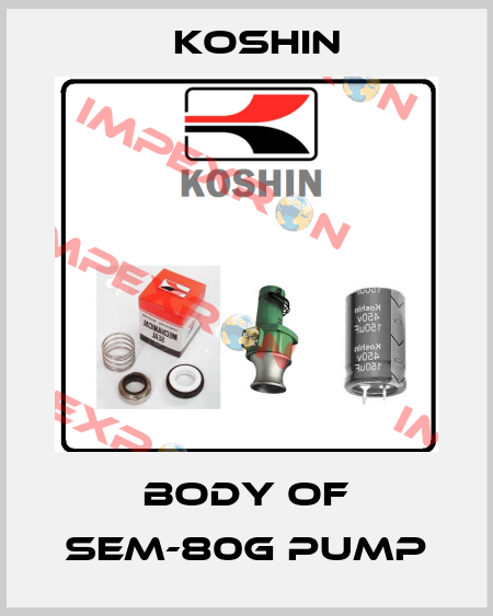body of SEM-80G pump Koshin
