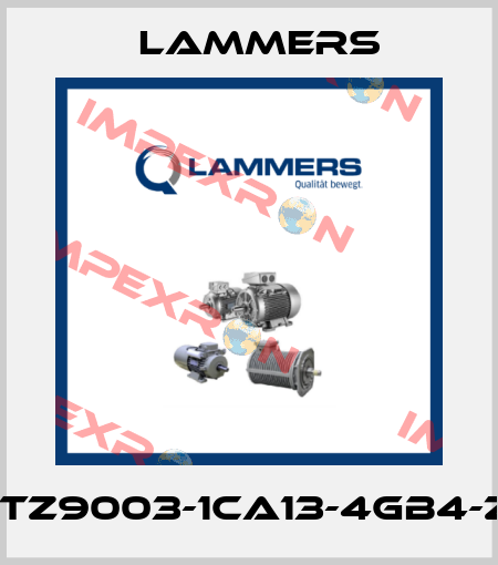 1TZ9003-1CA13-4GB4-Z Lammers