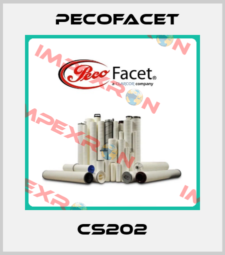 CS202 PECOFacet