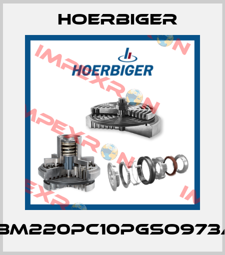 SBM220PC10PGSO973A1 Hoerbiger