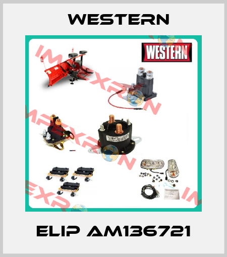 ELIP AM136721 Western