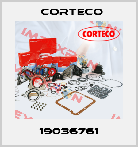 19036761 Corteco