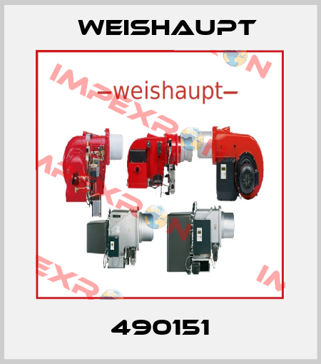 490151 Weishaupt