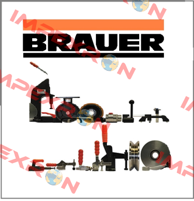 WSIINV0225/320 Brauer