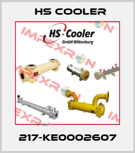 217-ke0002607 HS Cooler