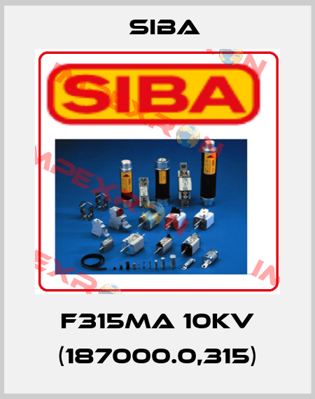 F315mA 10kV (187000.0,315) Siba