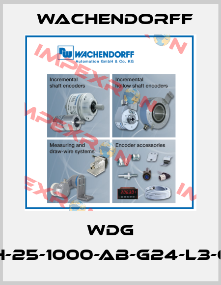 WDG 80H-25-1000-AB-G24-L3-050 Wachendorff