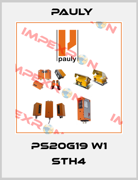 PS20G19 W1 STH4 Pauly