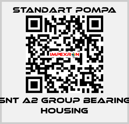 SNT A2 GROUP BEARING HOUSING STANDART POMPA