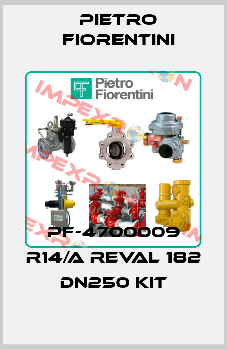 PF-4700009 R14/A REVAL 182 DN250 KIT Pietro Fiorentini