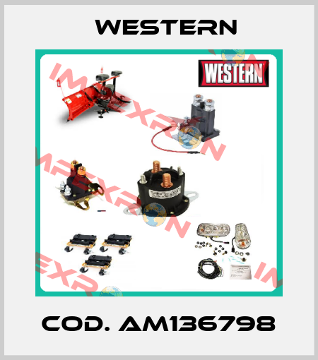 Cod. AM136798 Western