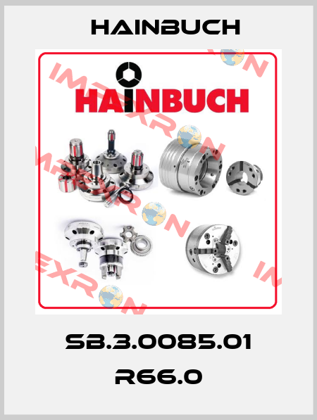 SB.3.0085.01 R66.0 Hainbuch