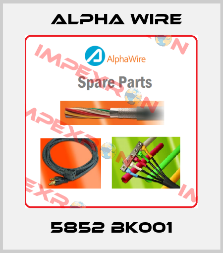 5852 BK001 Alpha Wire