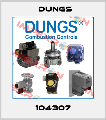 104307 Dungs