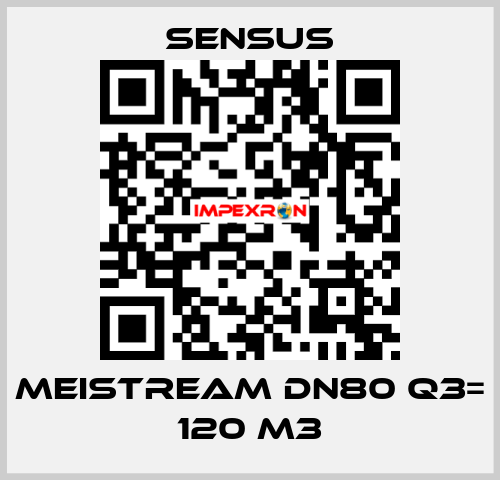 Meistream DN80 Q3= 120 m3 Sensus