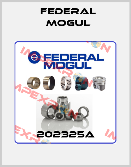 202325A Federal Mogul