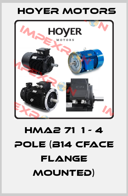 HMA2 71  1 - 4 pole (B14 Cface flange mounted) Hoyer Motors