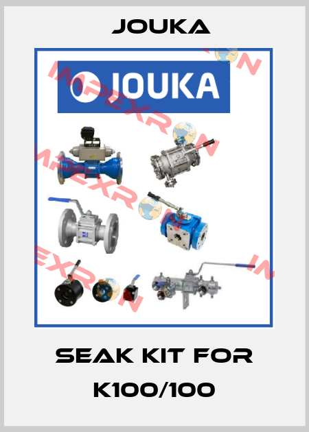 seak kit for K100/100 Jouka