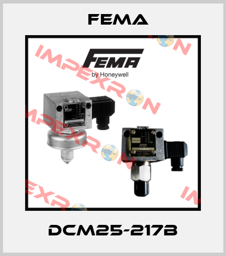 DCM25-217B FEMA