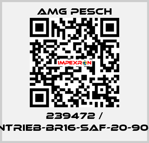 239472 / AMG-Antrieb-BR16-SAF-20-90-01-n=12 AMG Pesch