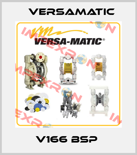 V166 BSP  VersaMatic