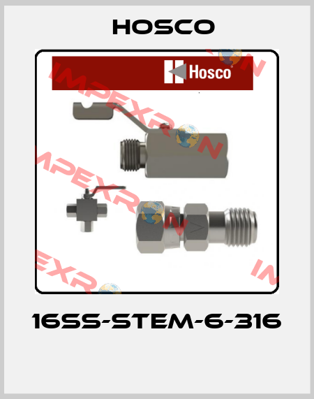 16SS-STEM-6-316  Hosco