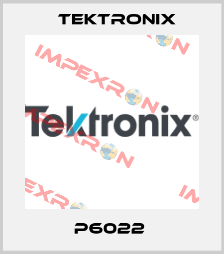 P6022  Tektronix