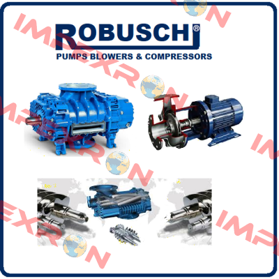 11317  Robuschi