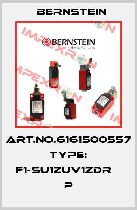 Art.No.6161500557 Type: F1-SU1ZUV1ZDR                P Bernstein