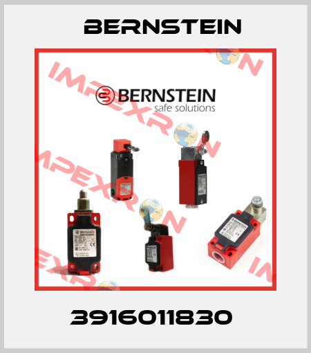 3916011830  Bernstein