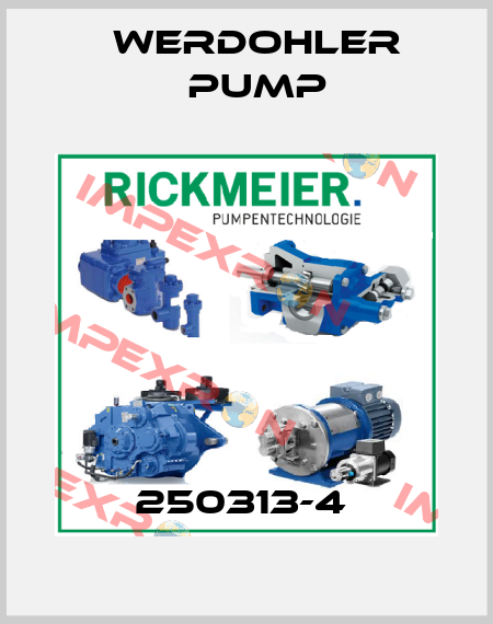 250313-4  Werdohler Pump