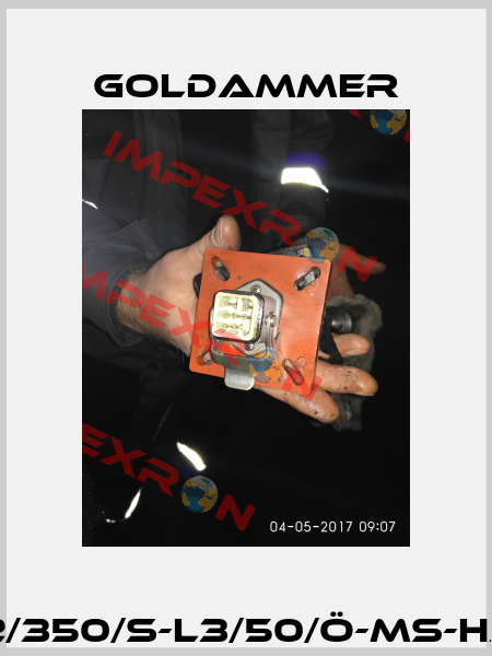 03-L1/450/S-L2/350/S-L3/50/Ö-MS-HAN I (EX107.134) Goldammer