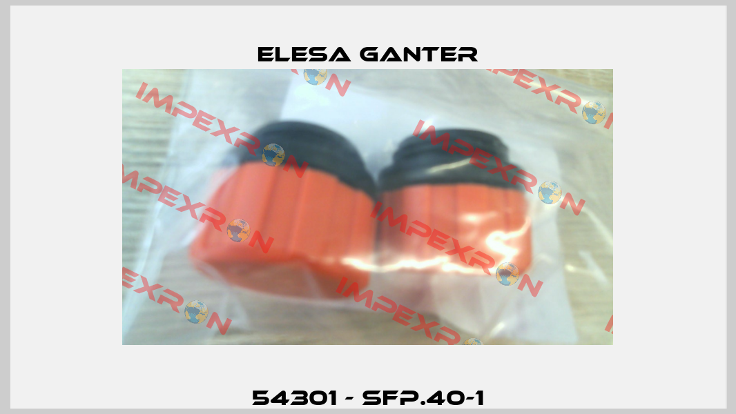 54301 - SFP.40-1 Elesa Ganter