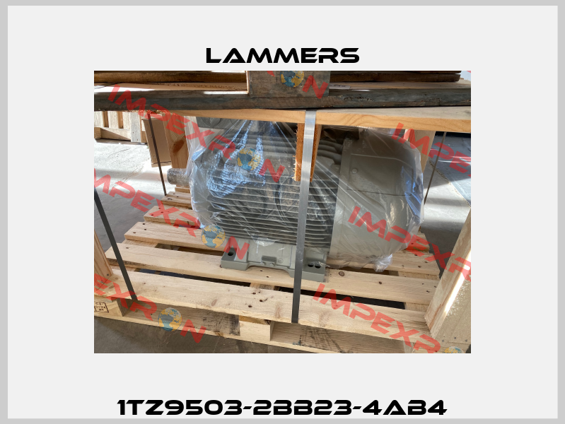 1TZ9503-2BB23-4AB4 Lammers