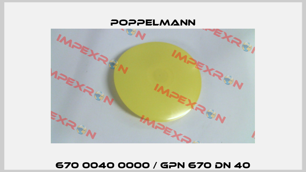 670 0040 0000 / GPN 670 DN 40 Poppelmann