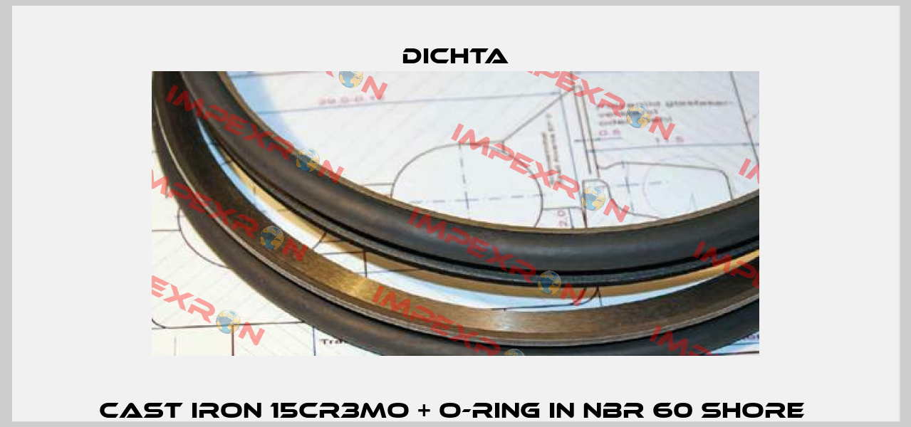 cast iron 15CR3MO + O-Ring in NBR 60 Shore  Dichta