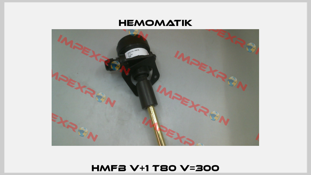 HMFB V+1 T80 V=300 Hemomatik
