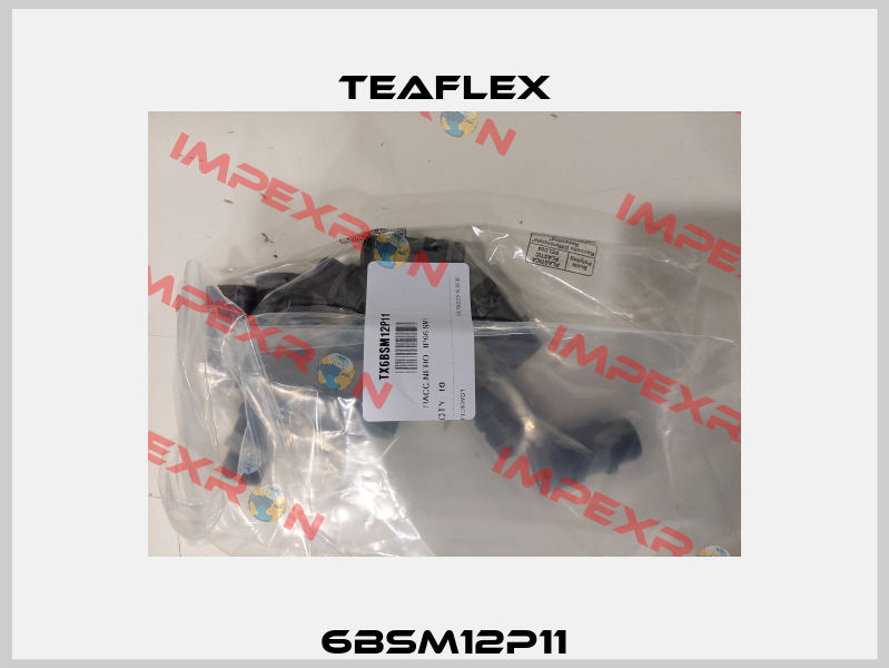 6BSM12P11 Teaflex